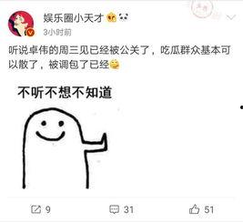 去年卓伟爆料视频大全集 第1张 去年卓伟爆料视频大全集 第1张