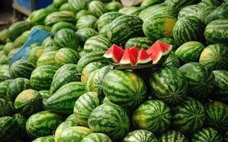 北美网红吃瓜事件真相揭秘,揭秘背后真相与真相背后的真相 第1张 北美网红吃瓜事件真相揭秘,揭秘背后真相与真相背后的真相 第1张